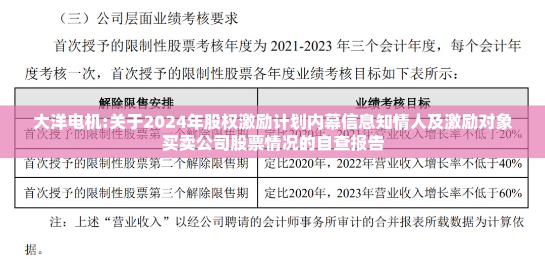 大洋电机:关于2024年股权激励计划内幕信息知情人及激励对象买卖公司股票情况的自查报告