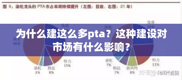 为什么建这么多pta？这种建设对市场有什么影响？