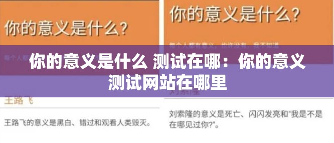 你的意义是什么 测试在哪：你的意义测试网站在哪里