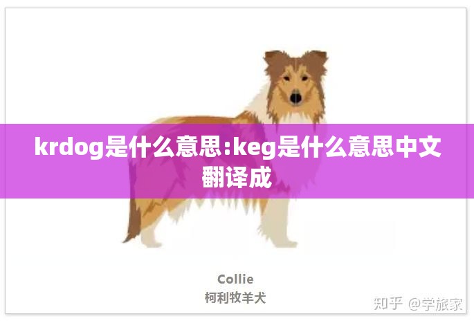 krdog是什么意思:keg是什么意思中文翻译成