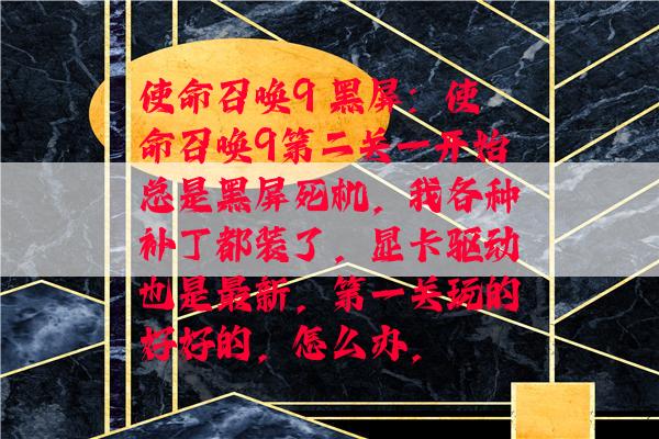 使命召唤9 黑屏：使命召唤9第二关一开始总是黑屏死机，我各种补丁都装了，显卡驱动也是最新，第一关玩的好好的，怎么办，