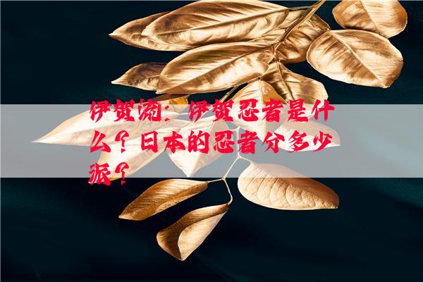 伊贺流：伊贺忍者是什么？日本的忍者分多少派？