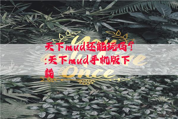 天下mud还能玩吗?:天下mud手机版下载