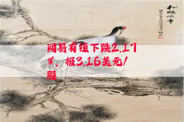 网易有道下跌2.17%，报3.16美元/股